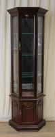 sammlervitrine-c2216-2216