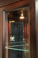 Sammlervitrine C2216