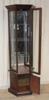 Sammlervitrine C2216