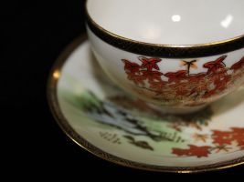 Teeservice Asia