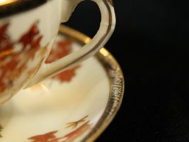 Teeservice Asia
