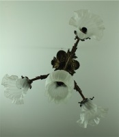 Messinglampe (LA558)